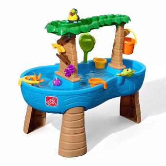 Step2 Tropical Rainforest Water Table