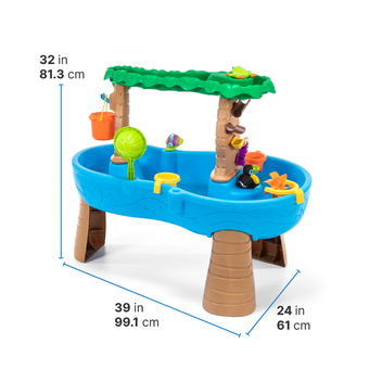 Step2 Tropical Rainforest Water Table